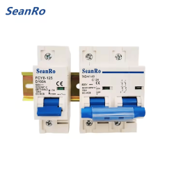 125 Amps 2 Pole DC Breaker (SEAN RO)