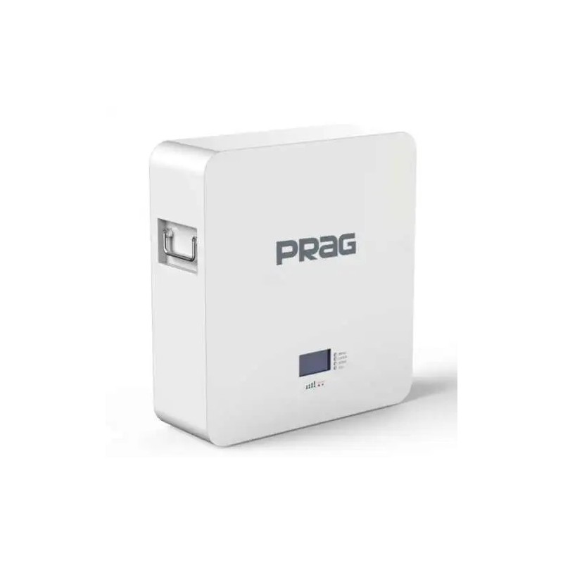 Prag 10KWH/48V LifePO4 Lithium Battery Prag 10KWH/48V LifePO4 Lithium Battery
