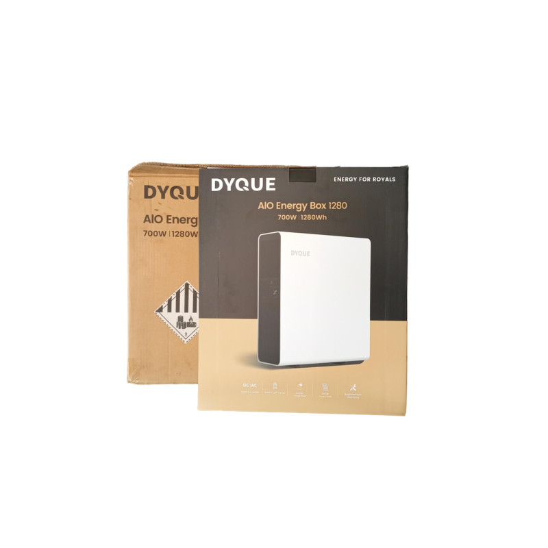 700W 1280Wh Dyque Hybrid Inverter 700W 1280Wh Dyque Hybrid Inverter