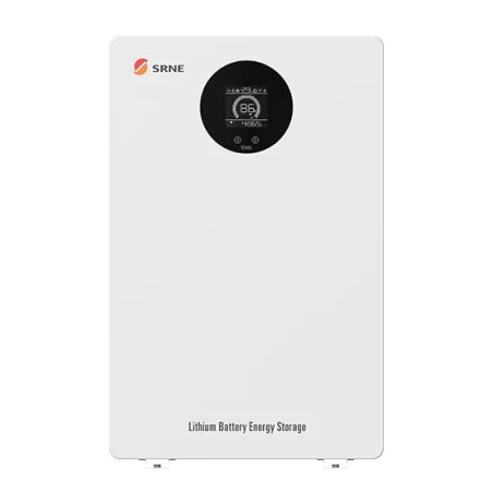 5KWH 51.2V SRNE BATTERY