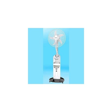 LONTOR AND MEWE LIGHT COMBO PACKAGE