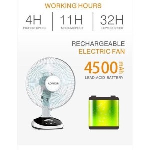 12" Lontor Table Fan CTL-CF025-12