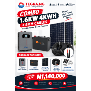 COMBO 1.6KW 4KWH + 4MM CABLES