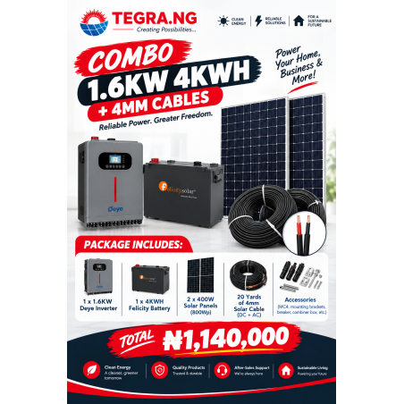 COMBO 1.6KW 4KWH + 4MM CABLES