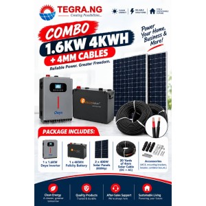 COMBO 1.6KW 4KWH + 4MM CABLES